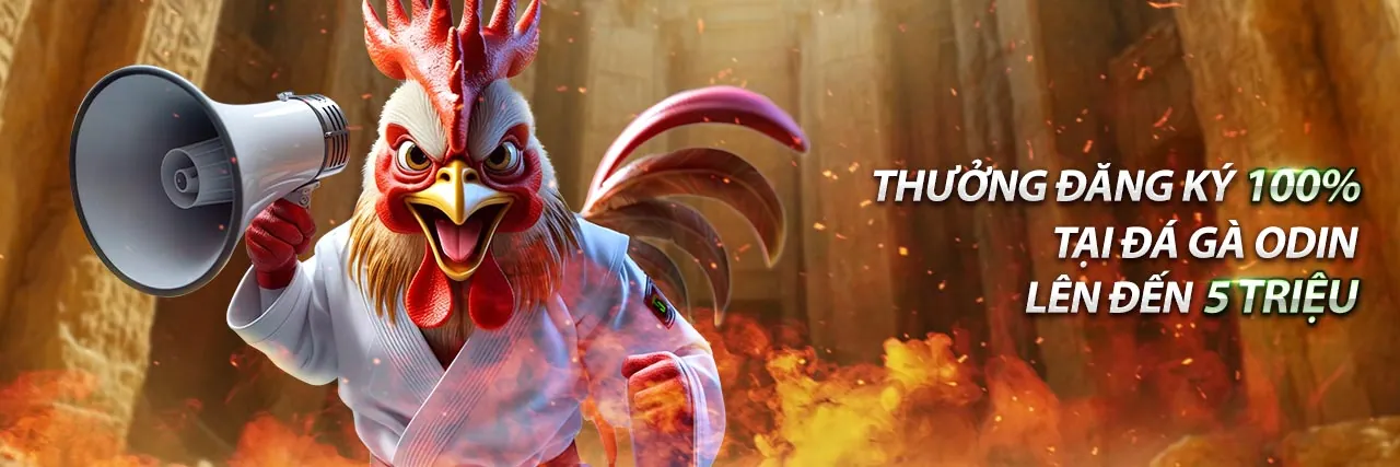 Hình ảnh biểu tượng cho các lớp bảo mật vững chắc của 2233win