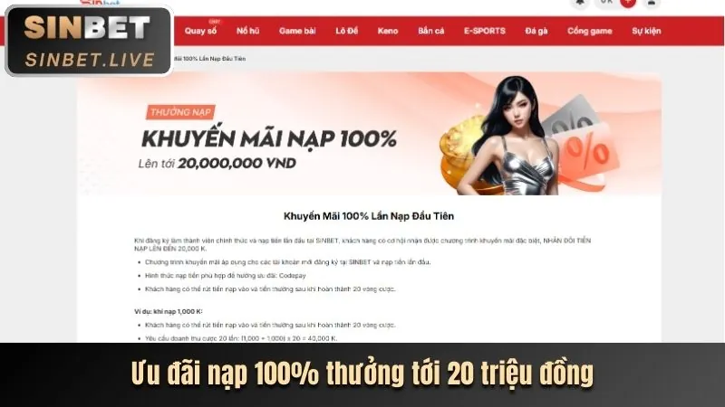 Hoàn Trả Tiền Cược 2233win